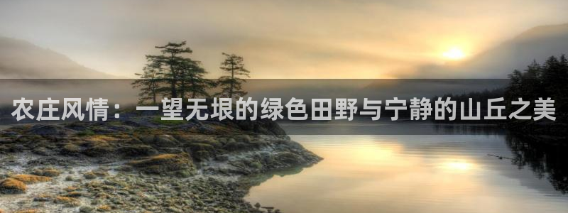 天辰娱乐总管