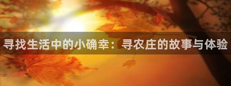 天辰娱乐客服