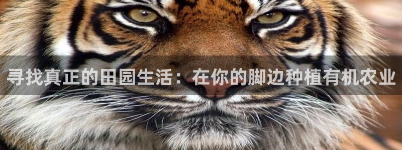 徐州天辰娱乐