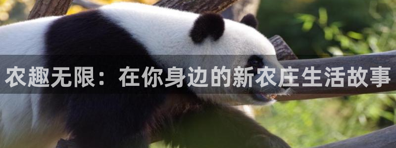 天辰娱乐60447