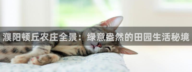 天辰娱乐代理