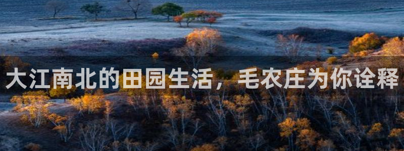 天辰娱乐 39974