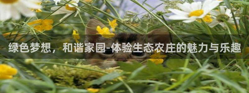 天辰娱乐欢乐