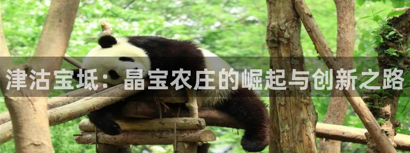 天辰娱乐557696