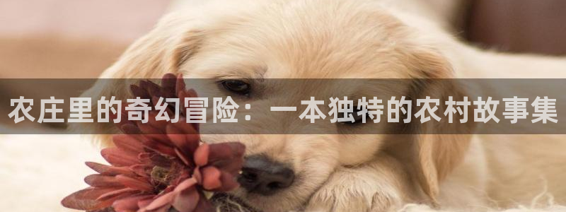 哈尔滨天辰娱乐