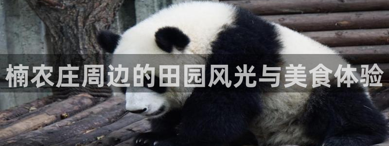 天辰娱乐首页