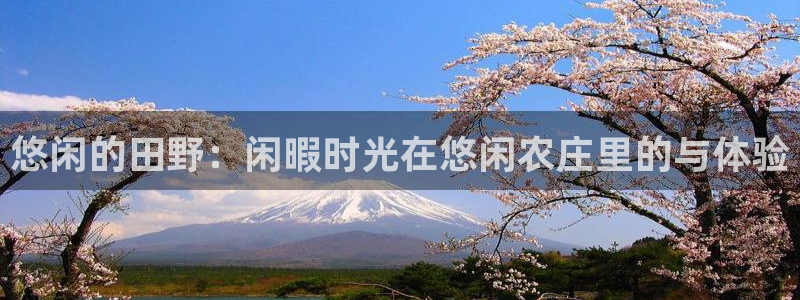 天辰娱乐指定