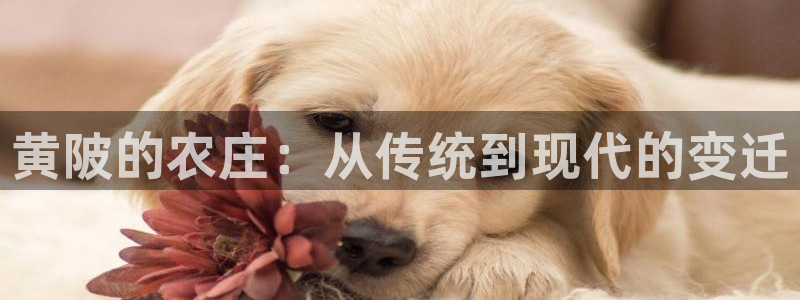 天辰娱乐小妹