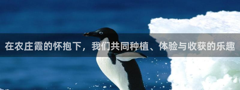 天辰娱乐首选