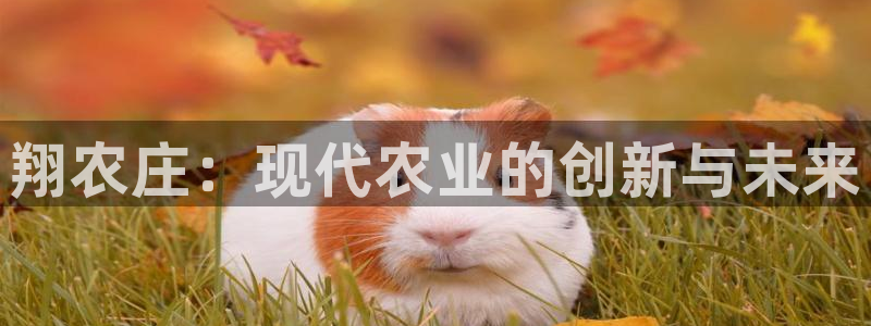 天辰娱乐输了