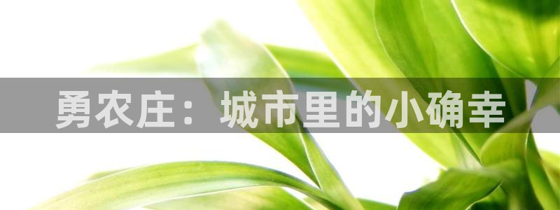 天辰说娱乐