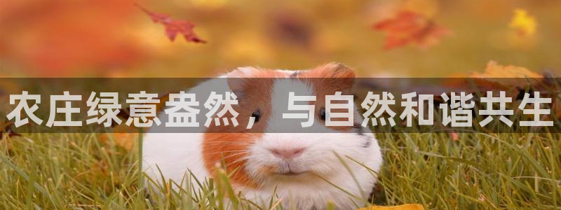 天辰娱乐平台测速