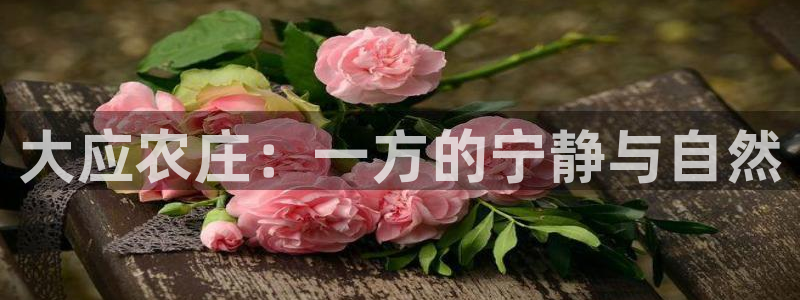 天辰娱乐服务