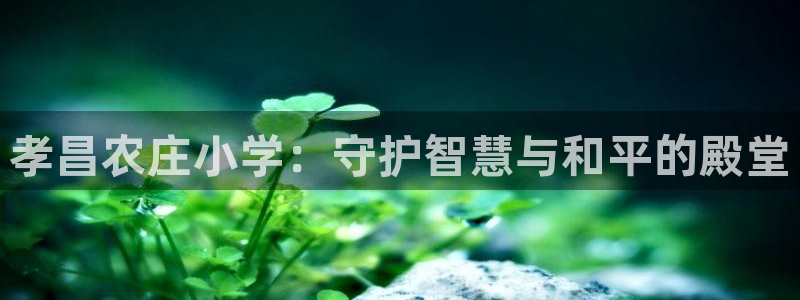 天辰娱乐481928
