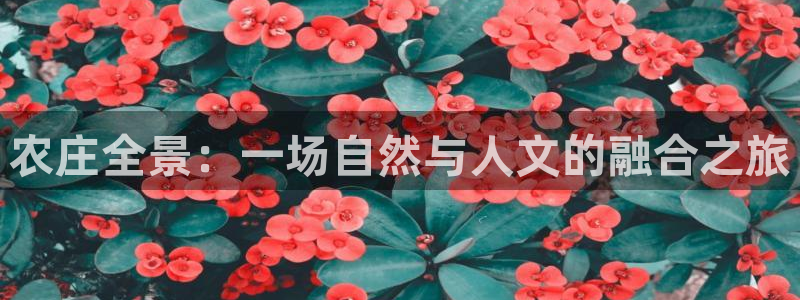 天辰辰娱乐代理