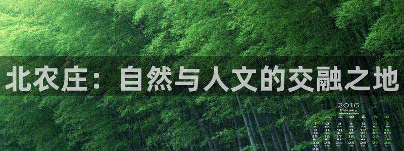 天辰娱乐所