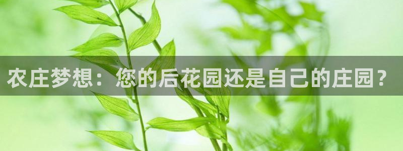 天辰娱乐咋样