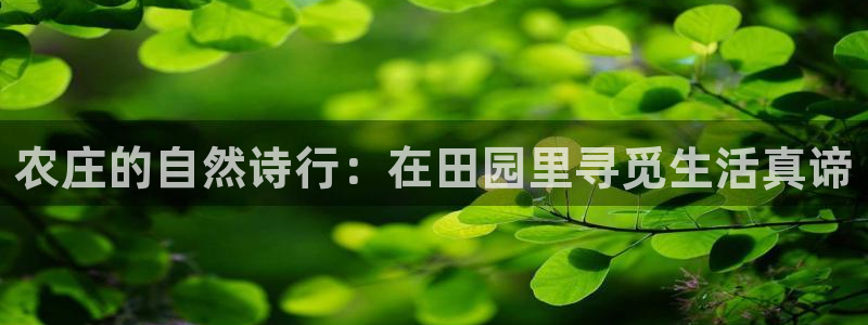 天辰娱乐所