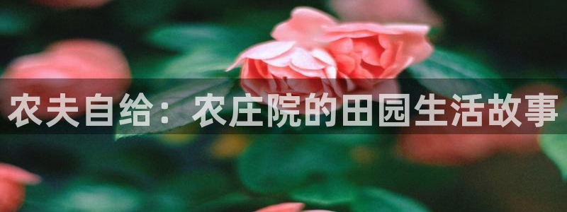 天辰娱乐的网址首页