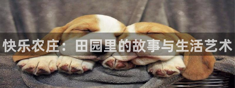 天辰娱乐开户