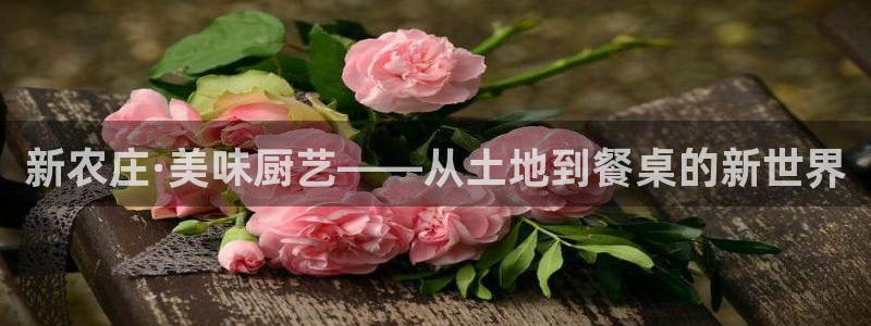哈尔滨天辰娱乐