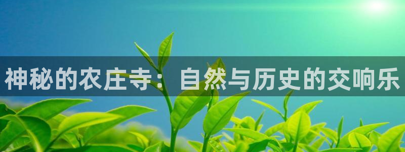 下载天辰娱乐
