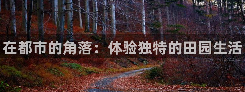 天辰娱乐厕所