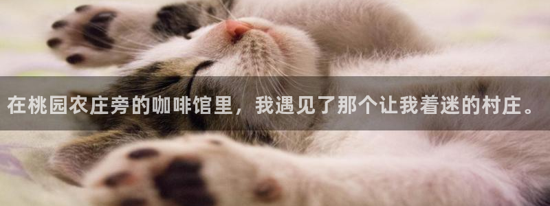 辰天娱乐用品