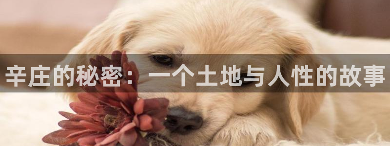 天辰娱乐22650