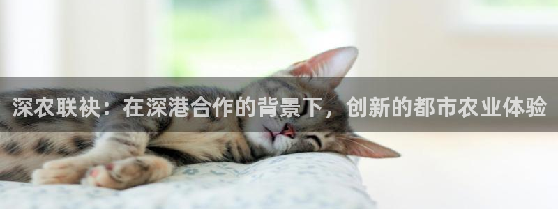 北京天辰娱乐