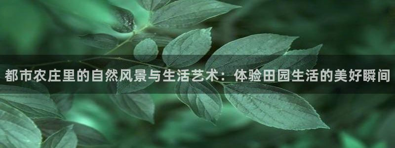天辰娱乐娱乐