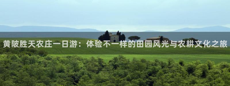 天辰娱乐首选