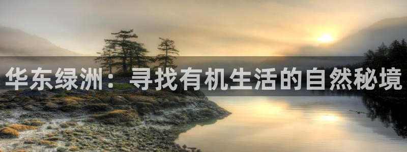 天辰在线娱乐