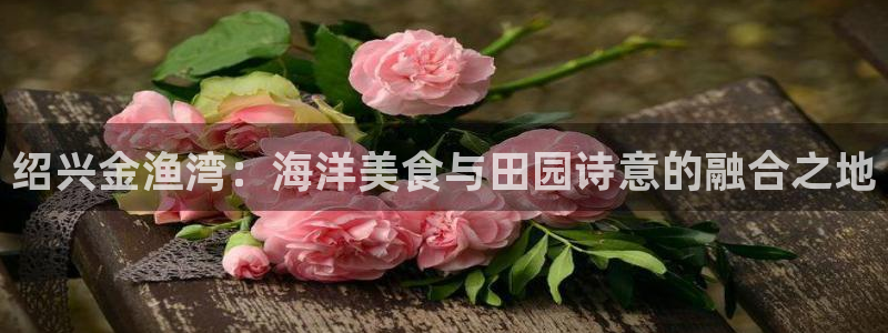 天辰娱乐 首选