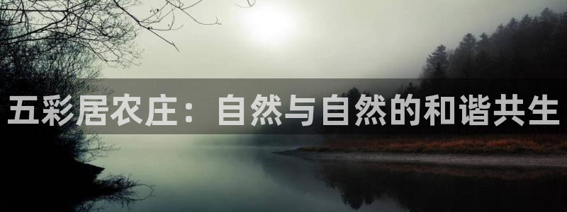 天辰娱乐下载地址