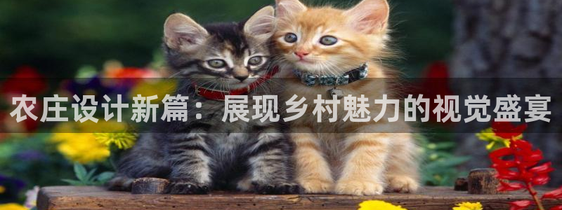 天辰娱乐老板