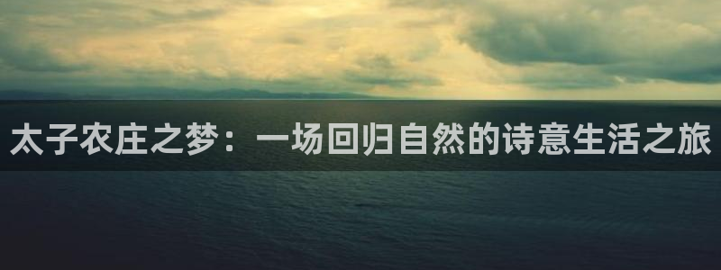 天辰娱乐新
