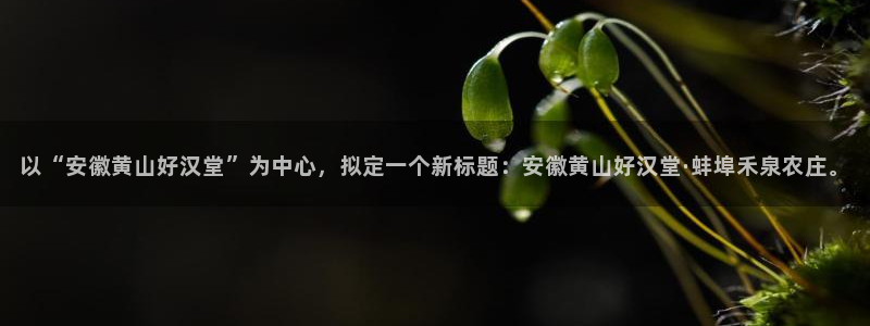 深圳天辰娱乐