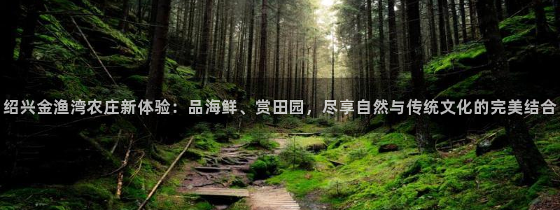 天辰娱乐路线