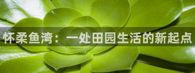 天辰娱乐所