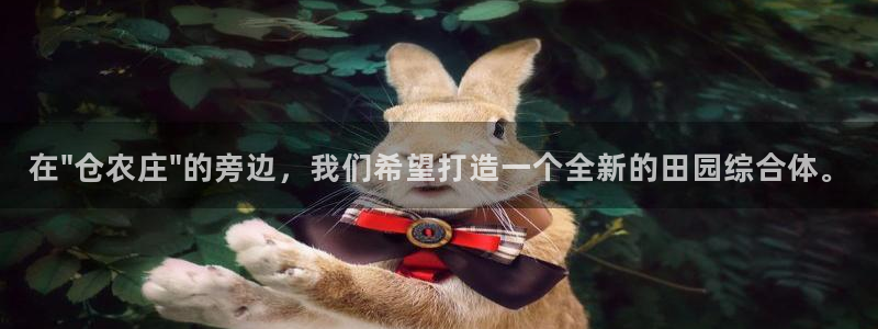 广东天辰娱乐