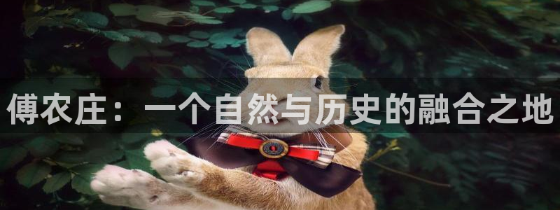 天辰娱乐小妹