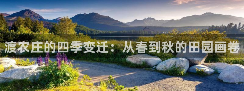 天辰娱乐游客