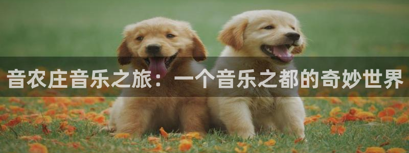 天辰娱乐赌博