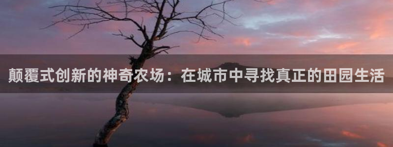 天辰娱乐黑人