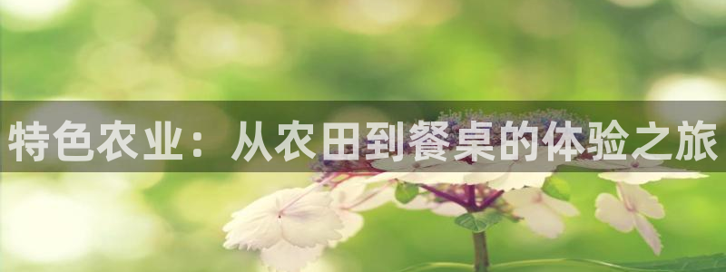 天辰臣娱乐