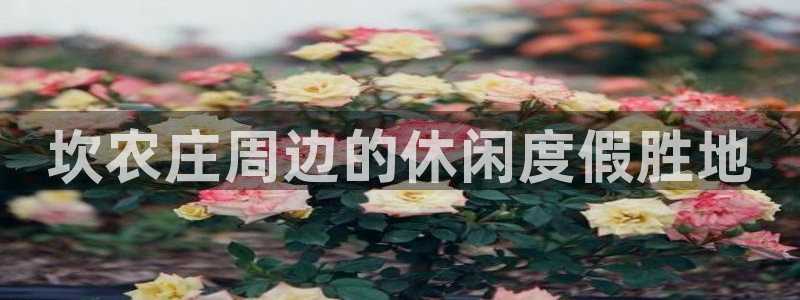 天辰平台娱乐