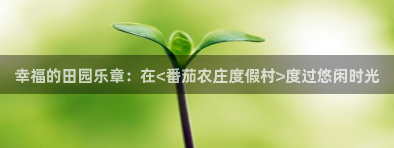 天辰娱乐待遇