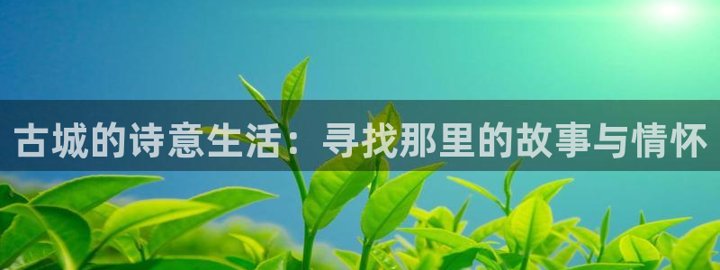 天辰娱乐平台测速