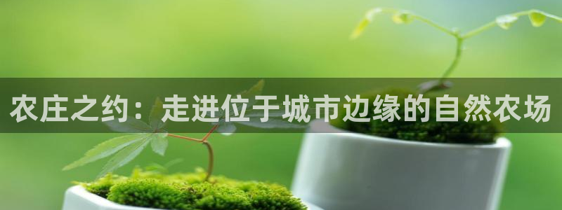 天辰娱乐84566